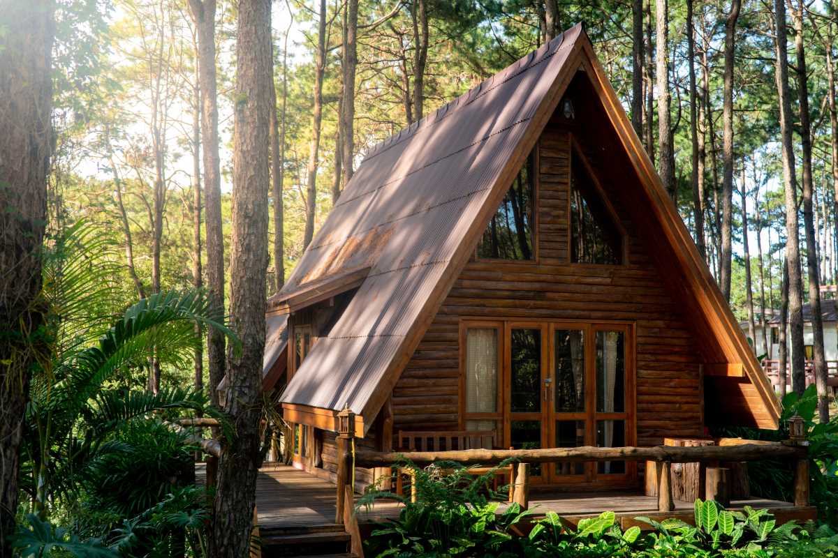 Sustainable Home Upgrades for Eco-Conscious Living