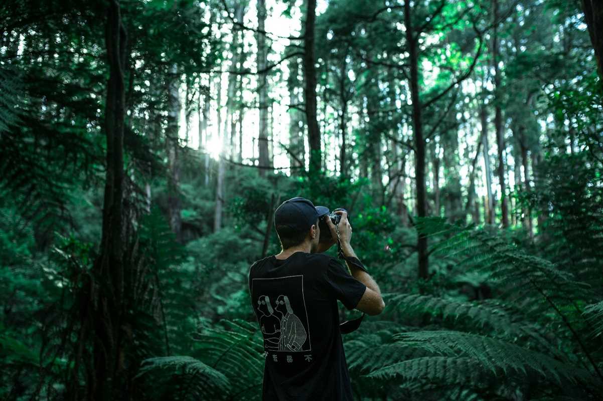 Building a Life as a Nature-Inspired Photographer