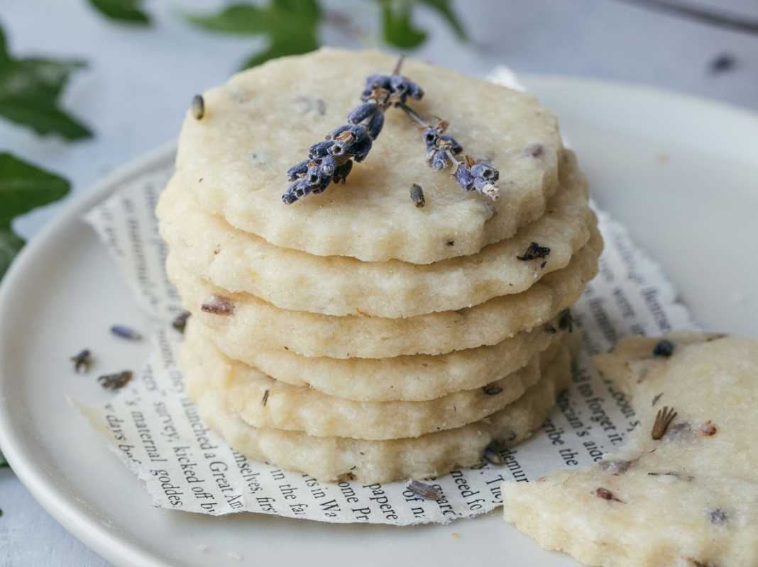 Creating Magical Desserts Inspired by Your Favorite Spells 